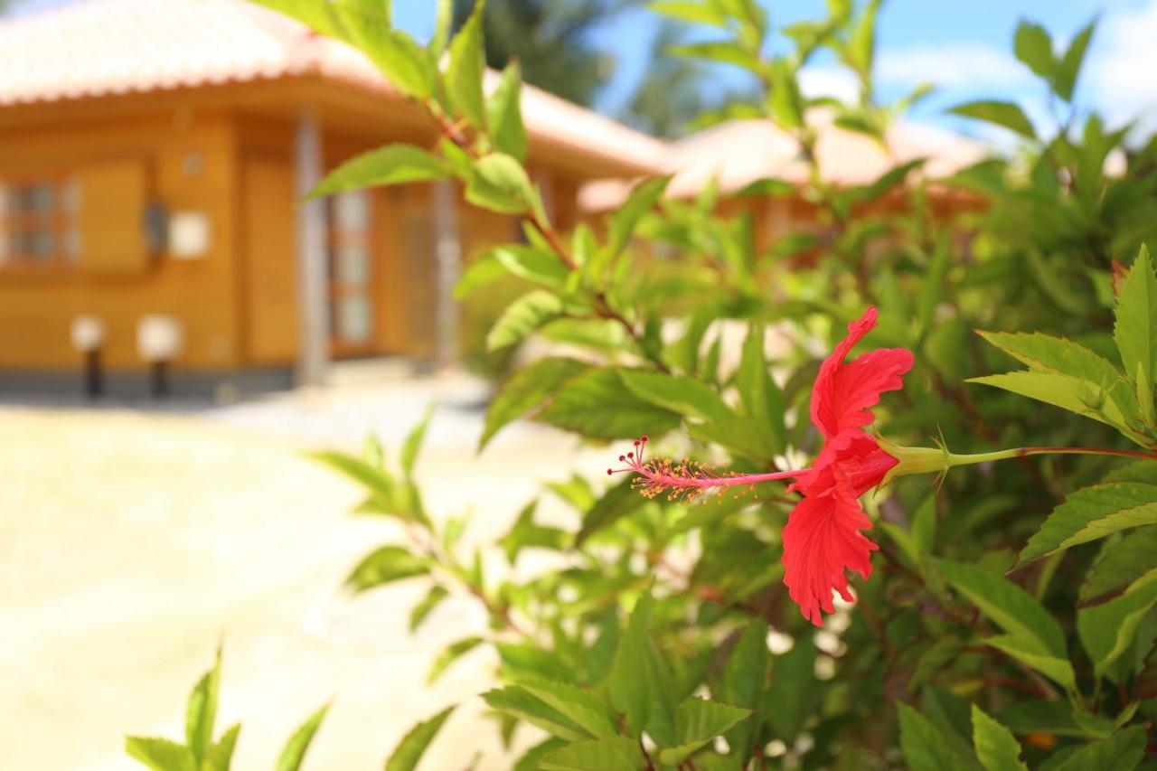 Tabinoteitaku Okinawa Nakijin Homann Concept Villa Buitenkant foto
